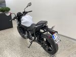 Kawasaki Z 2019 