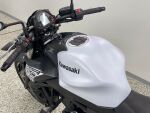 Kawasaki Z 2019 