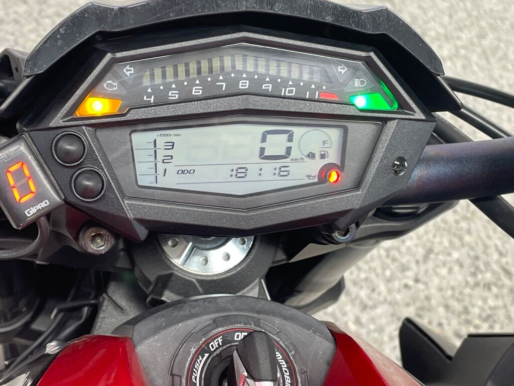 Kawasaki Z 2015 Harmaa