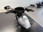 Harley-davidson SOFTAIL 2020 Harmaa