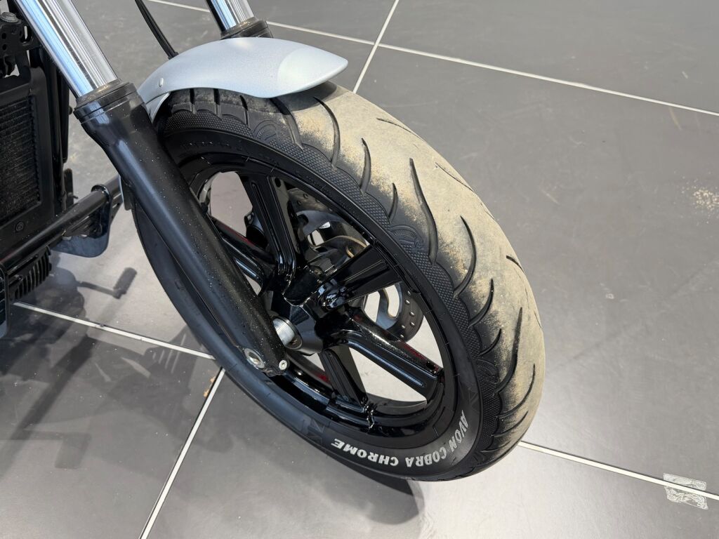 Harley-davidson SOFTAIL 2020 Harmaa
