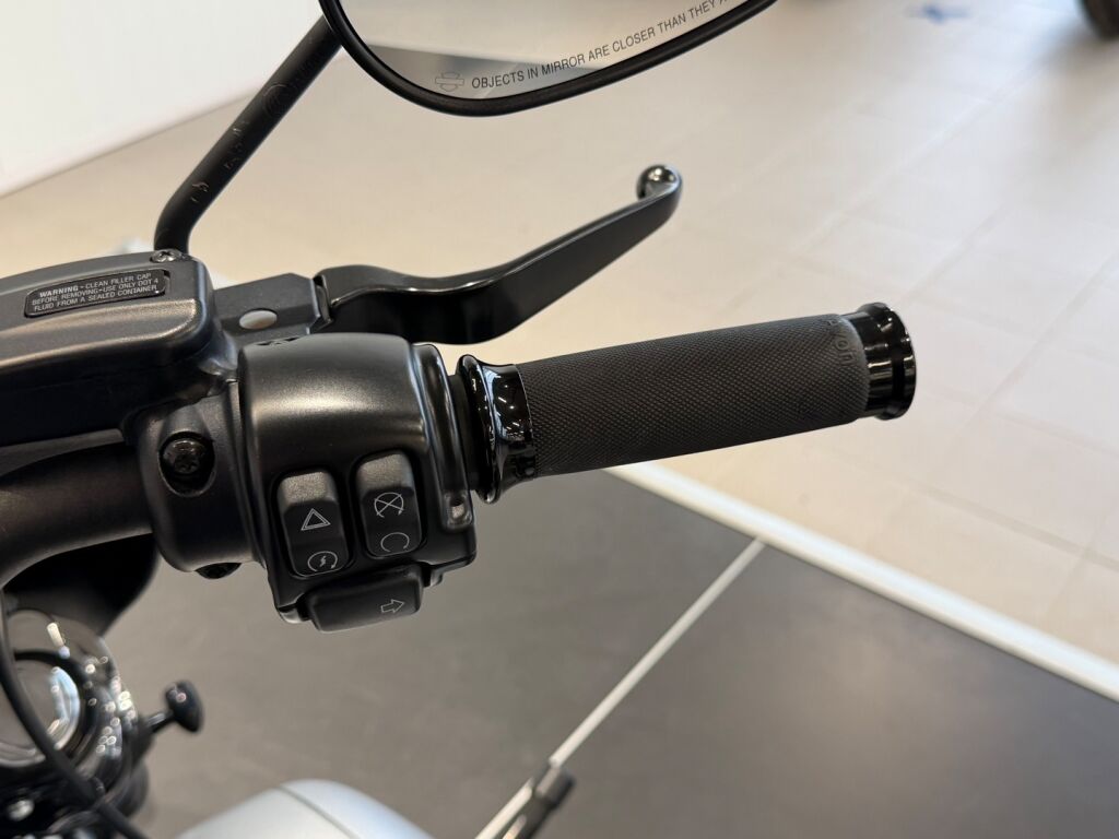 Harley-davidson SOFTAIL 2020 Harmaa