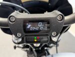 Harley-davidson SOFTAIL 2020 Harmaa