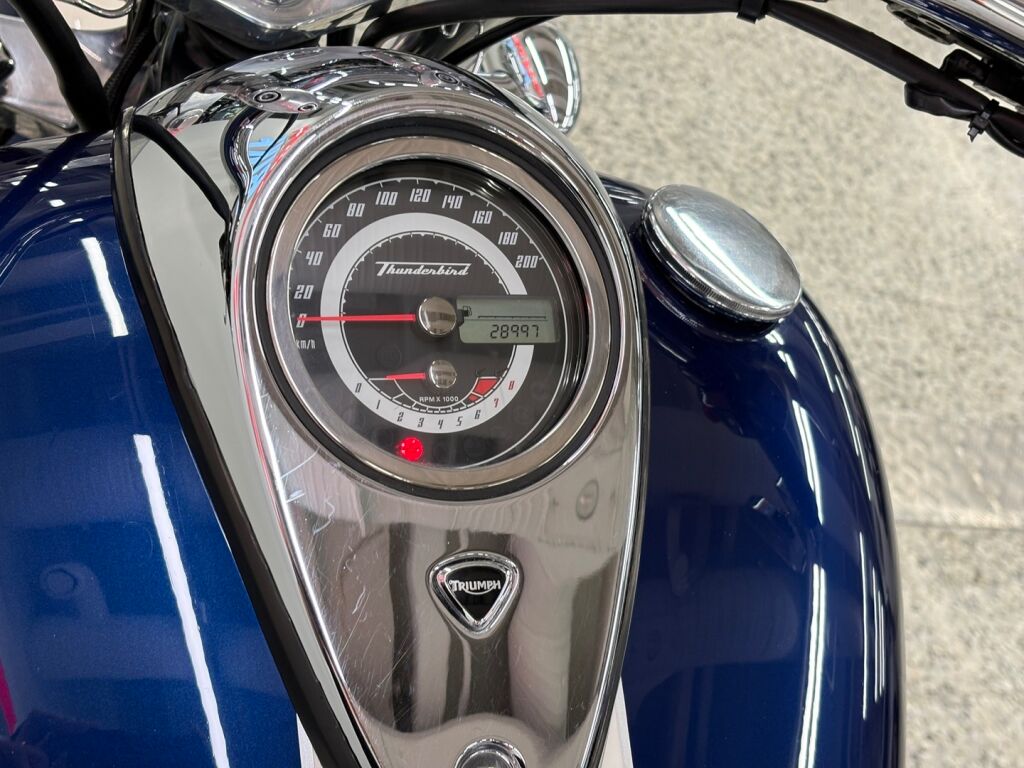 Triumph Thunderbird 2010 moniväri