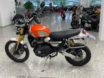 Triumph SCRAMBLER 2022 