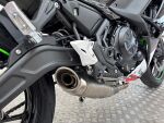 Kawasaki Ninja 2023 