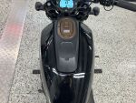 Harley-davidson SPORTSTER 2022 