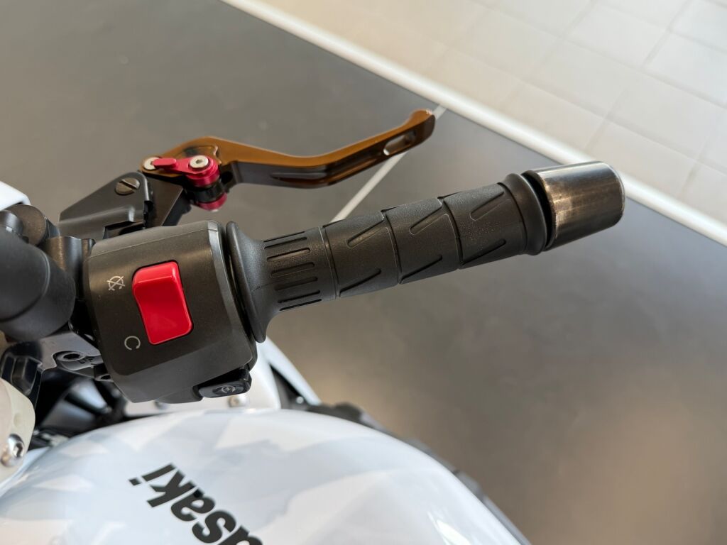 Kawasaki Z 2011 9