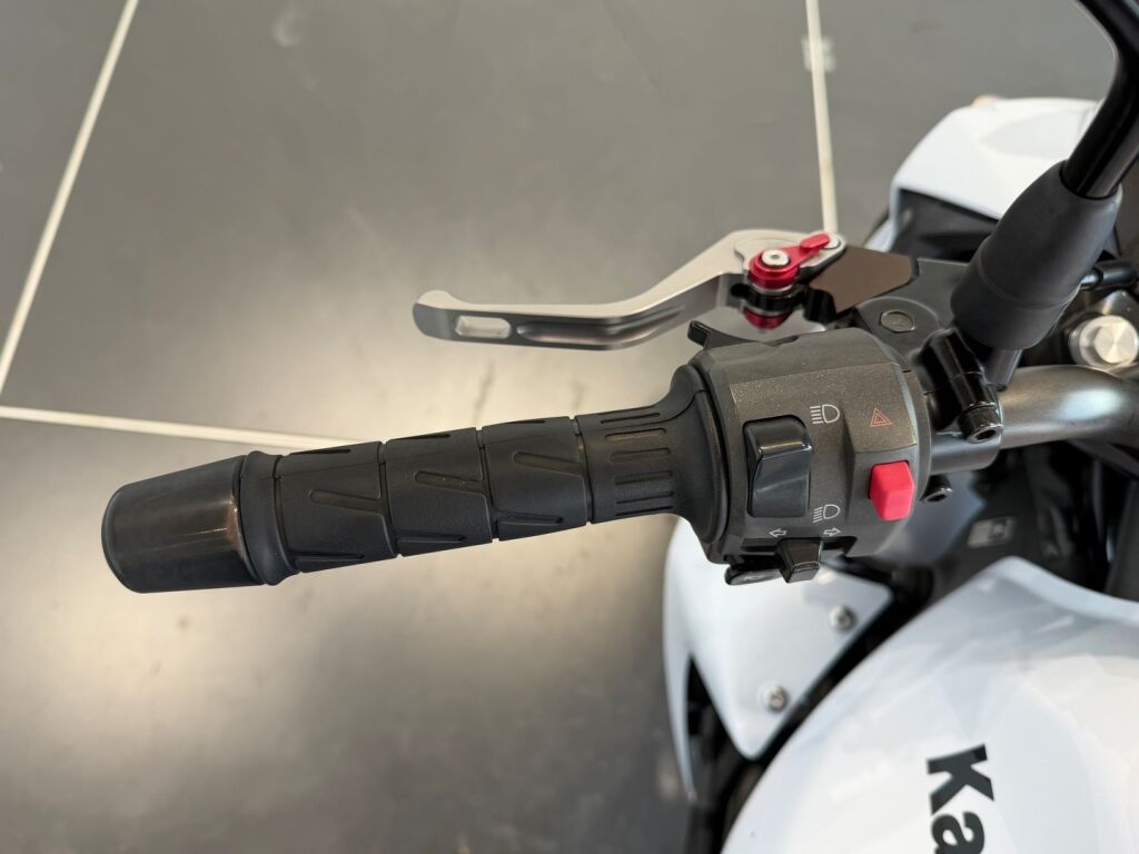 Kawasaki Z 2011 9