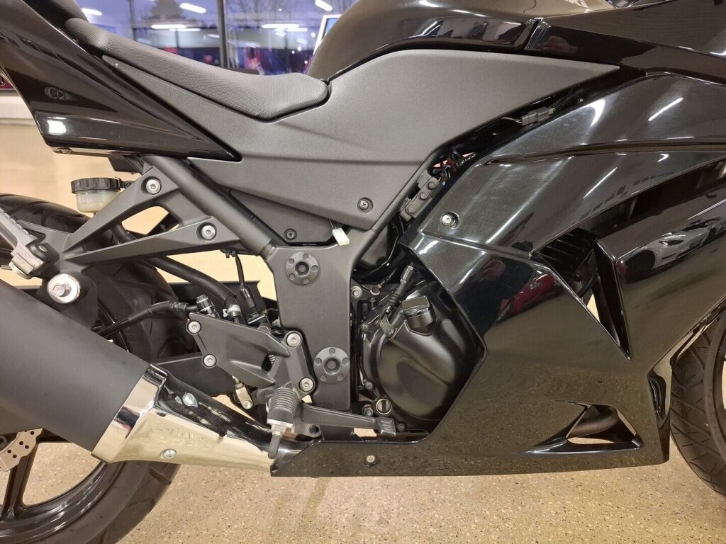 Kawasaki NINJA 2011 