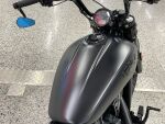 Indian SCOUT 2023 