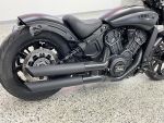 Indian SCOUT 2023 