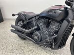 Indian SCOUT 2023 