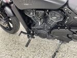 Indian SCOUT 2023 