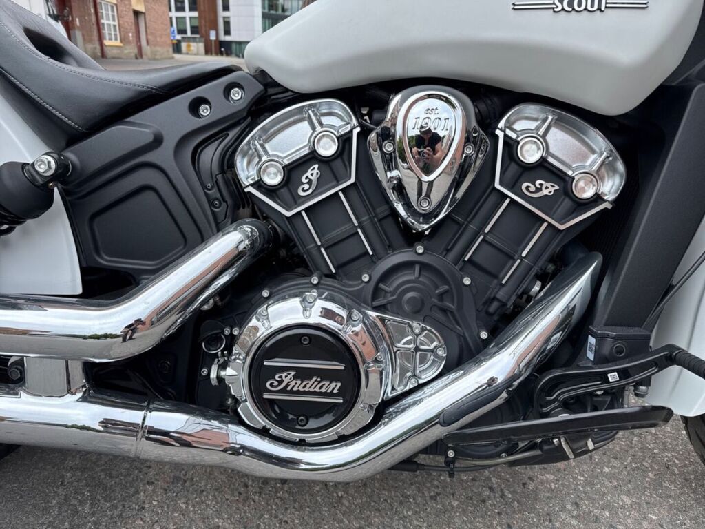 Indian Scout 2021 