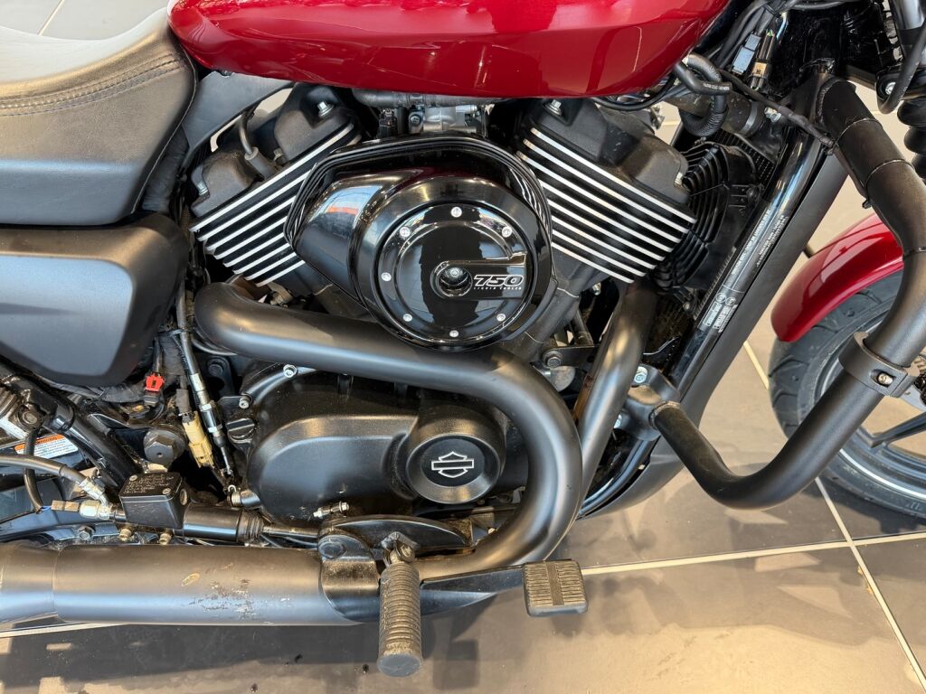 Harley-davidson STREET 2015 