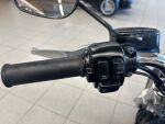 Harley-davidson VRSC 2006 Musta