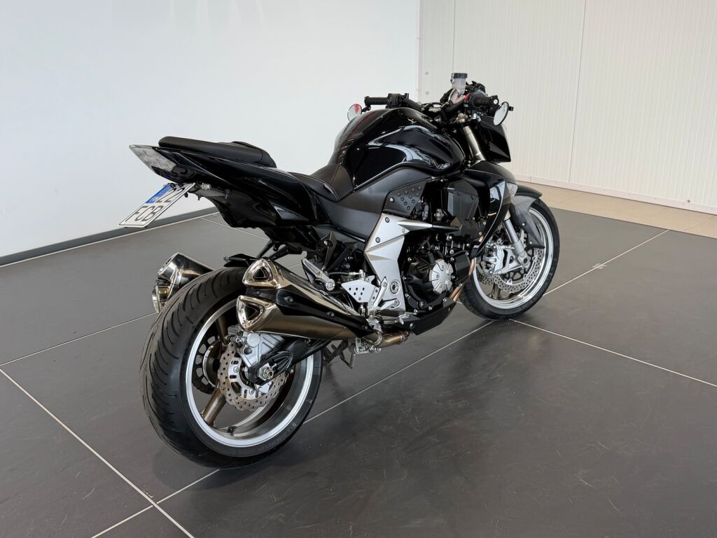 Kawasaki Z 2010 