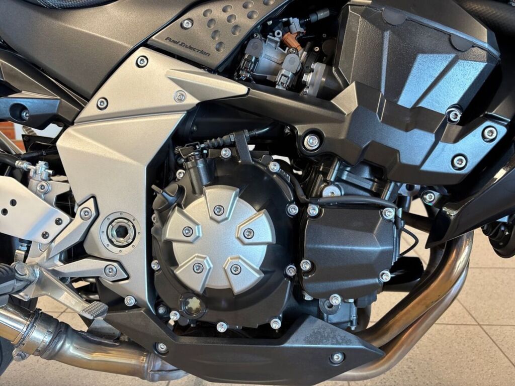Kawasaki Z 2010 