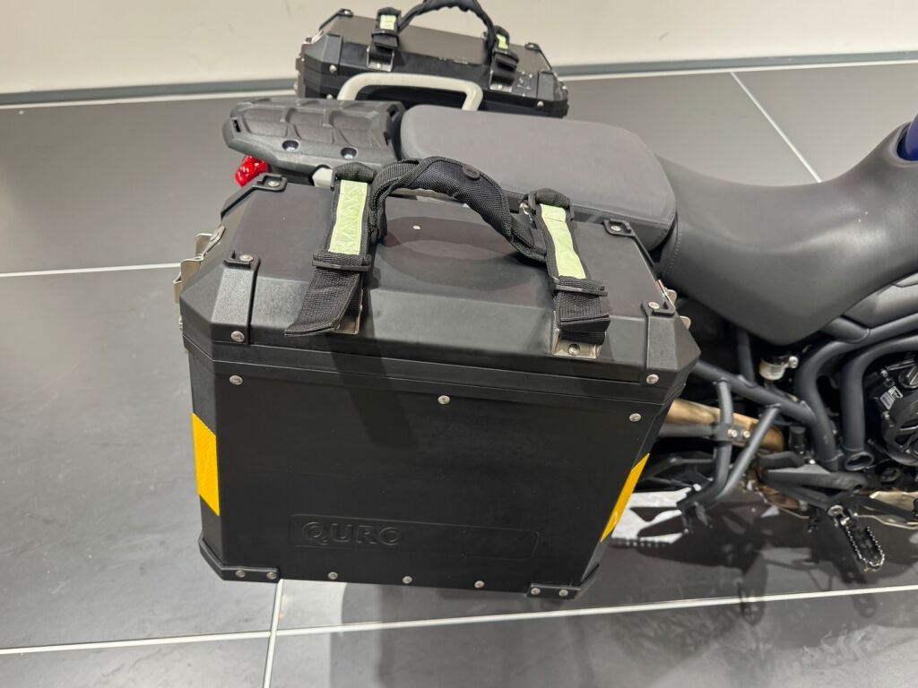 Triumph TIGER 2013 Sininen