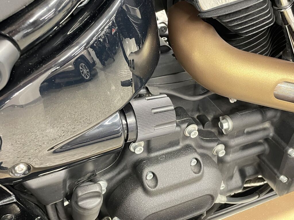 Harley-davidson SOFTAIL 2021 0