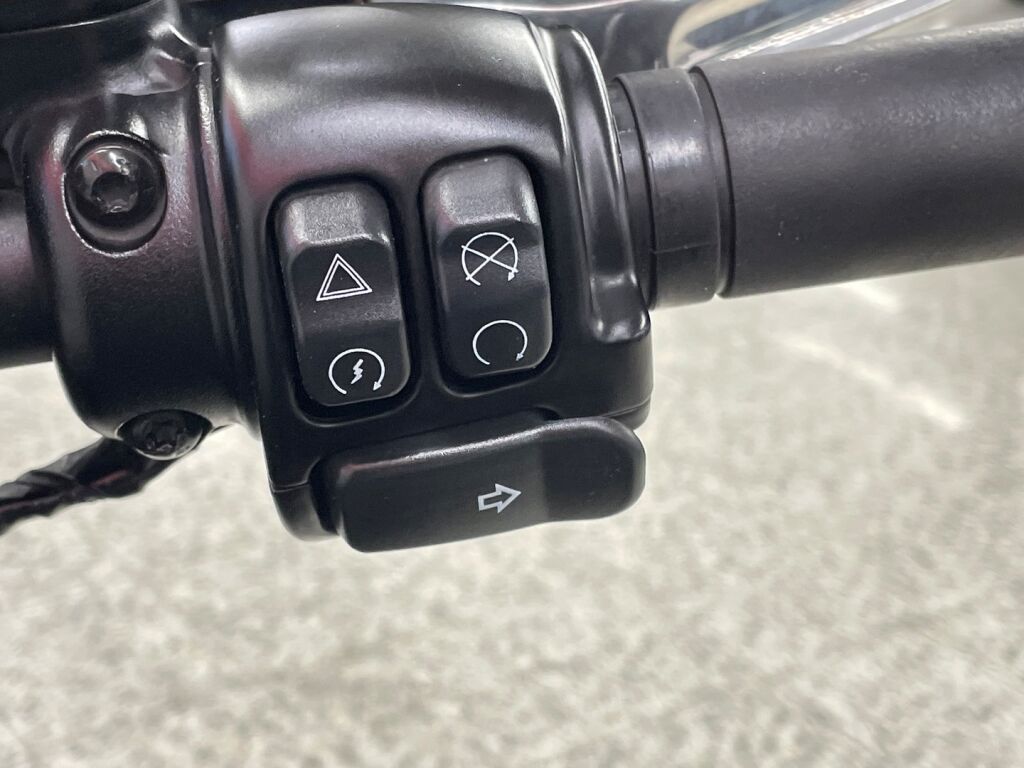 Harley-davidson SOFTAIL 2021 0