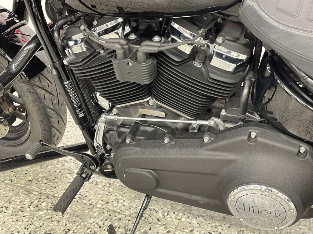 Harley-davidson SOFTAIL 2021 0