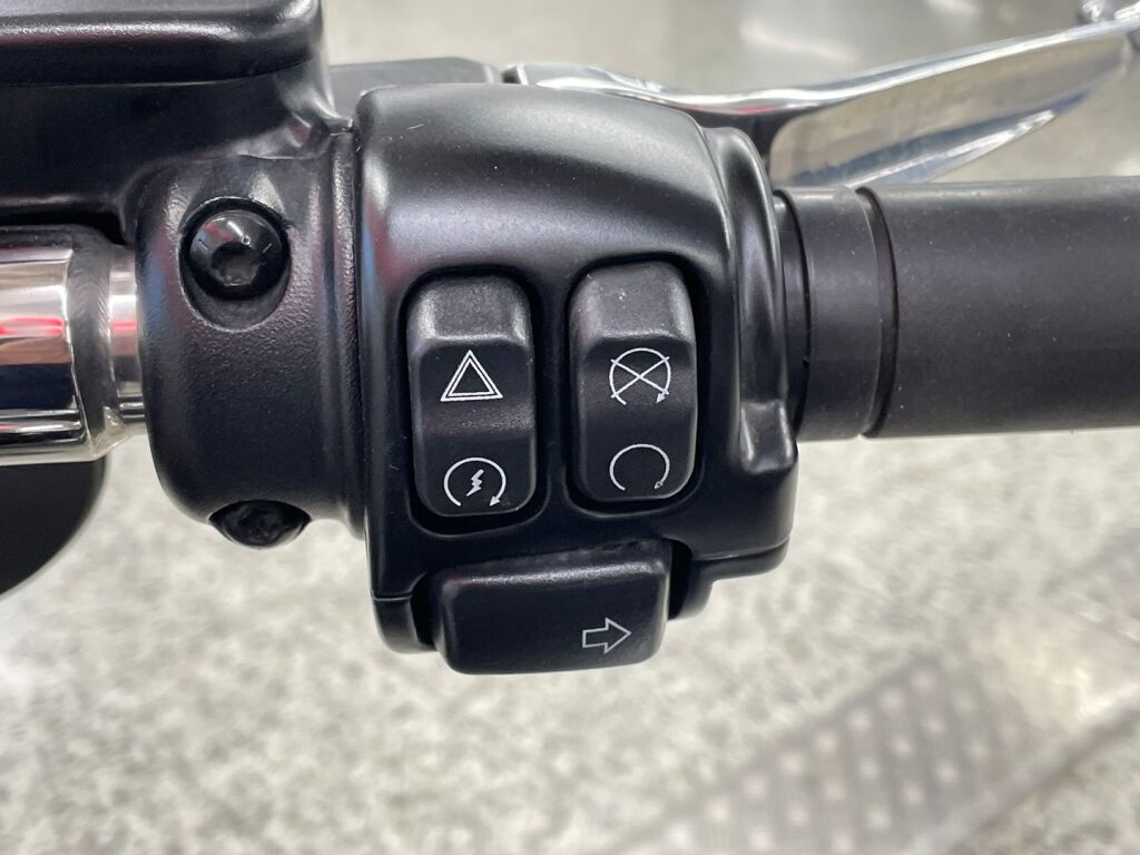 Harley-davidson SOFTAIL 2020 