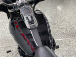 Harley-davidson SOFTAIL 2020 