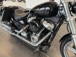 Harley-davidson SOFTAIL 2022 Musta