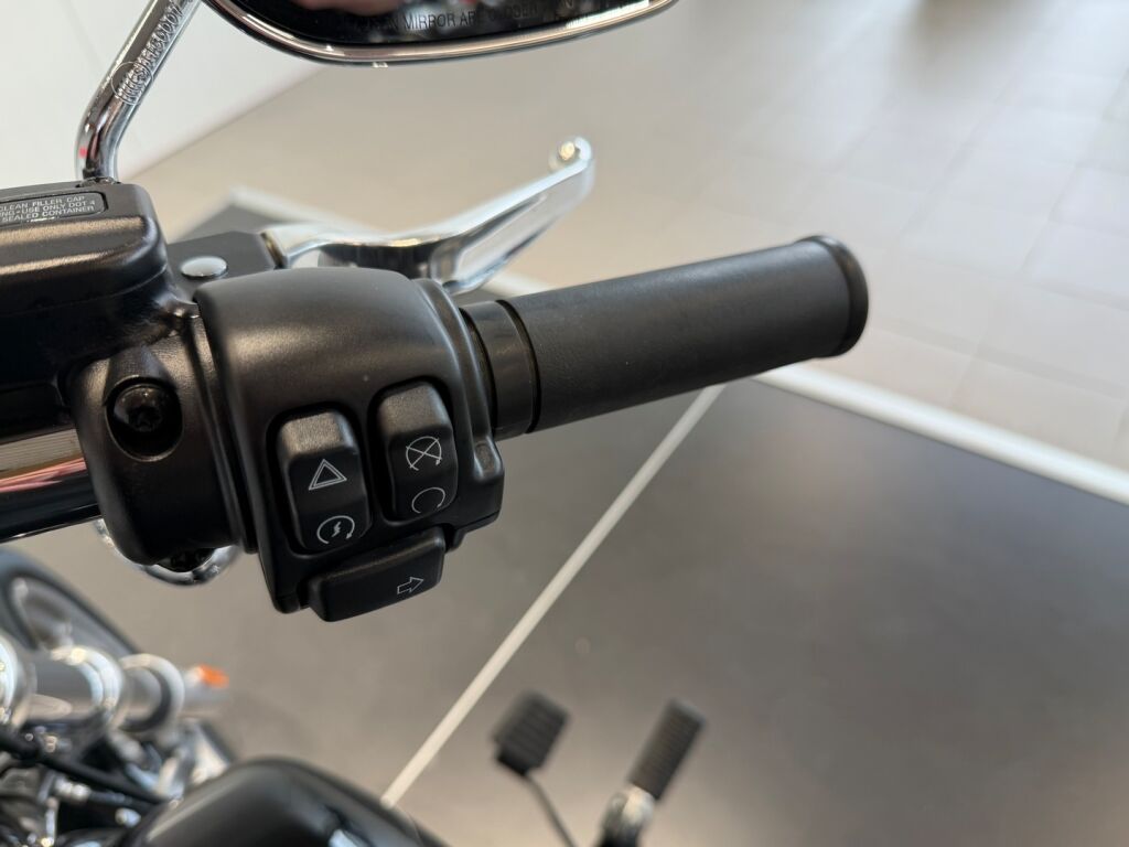 Harley-davidson SOFTAIL 2022 Musta