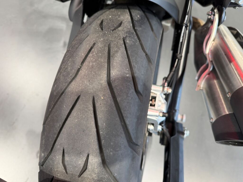 Benelli 502 CRUISER 2023 
