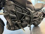 Benelli 502 CRUISER 2023 