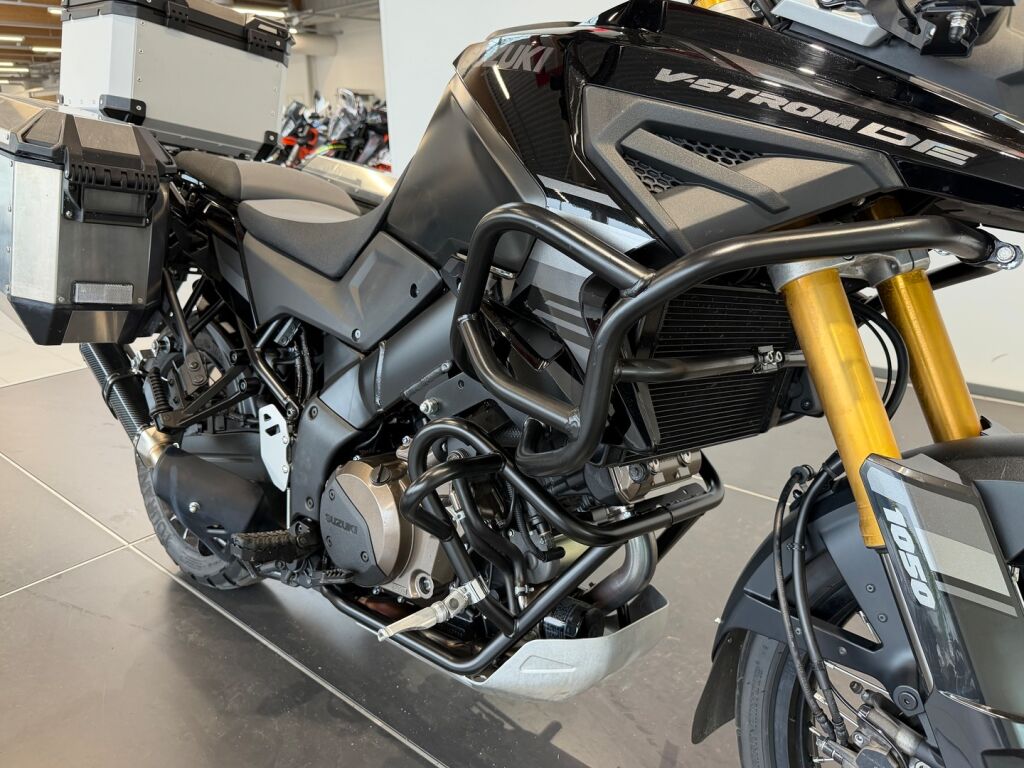 Suzuki DL 2024 