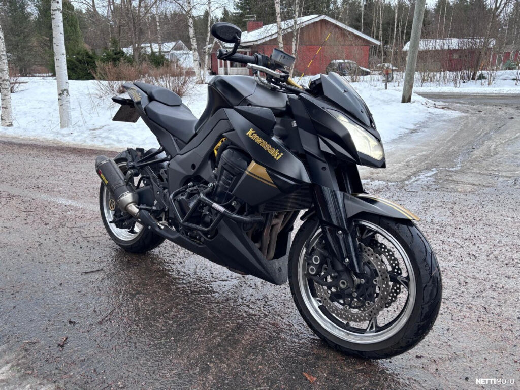 Kawasaki Z 2010 Ruskea (beige)