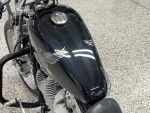 Harley-davidson SPORTSTER 2008 