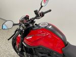 Ducati MONSTER 2021 