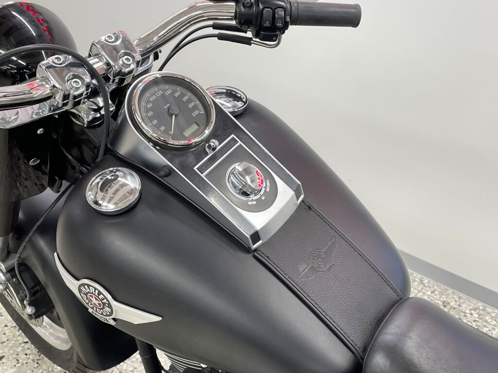 Harley-davidson SOFTAIL 2010 