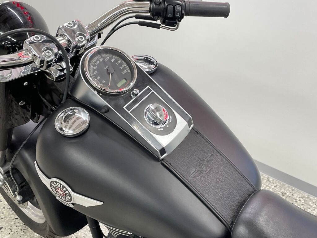 Harley-davidson SOFTAIL 2010 