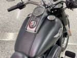 Harley-davidson SOFTAIL 2010 