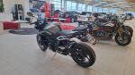 Triumph STREET TRIPLE 2023 