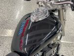 Triumph AMERICA 2013 
