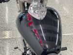 Triumph AMERICA 2013 