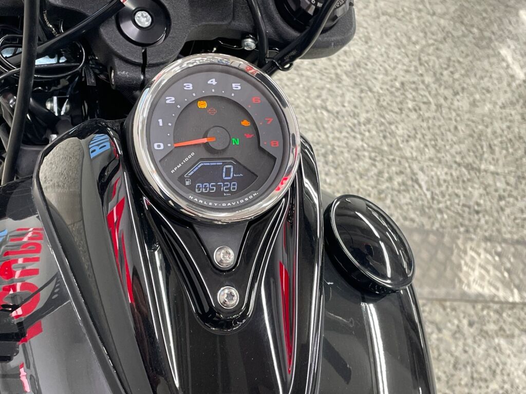 Harley-davidson SOFTAIL 2021 