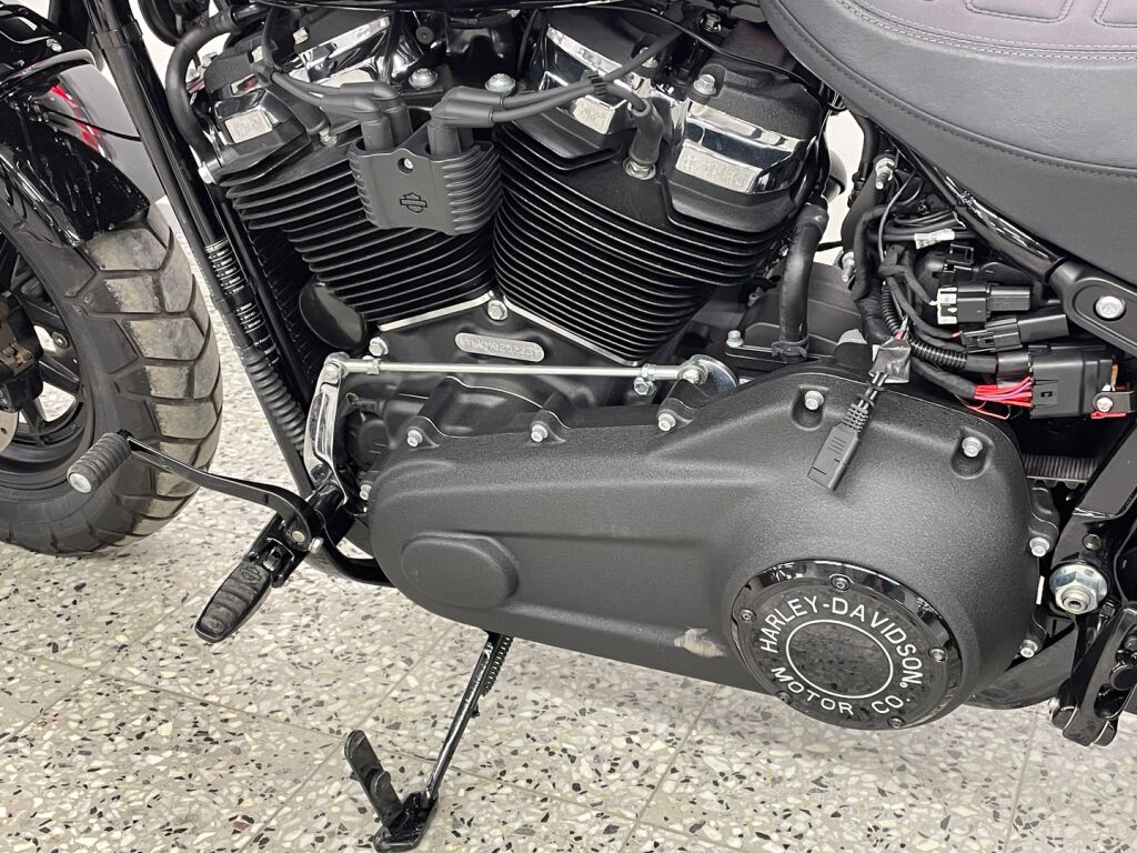 Harley-davidson SOFTAIL 2021 