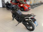 Honda XL 2025 
