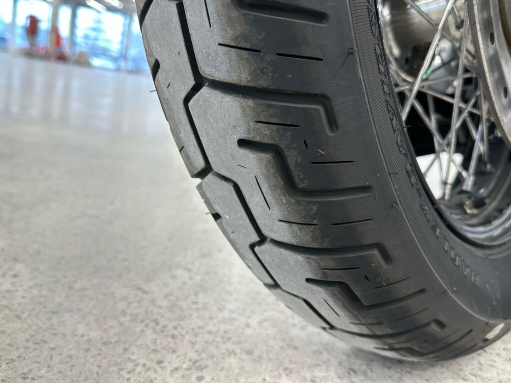 Harley-davidson SOFTAIL 2020 