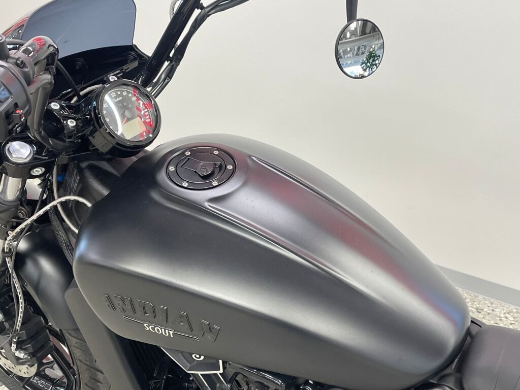 Indian SCOUT 2024 