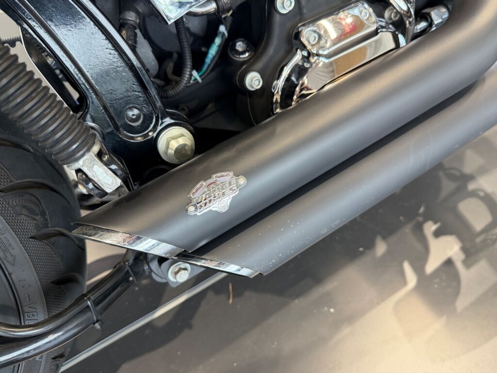 Harley-davidson SOFTAIL 2009 Musta