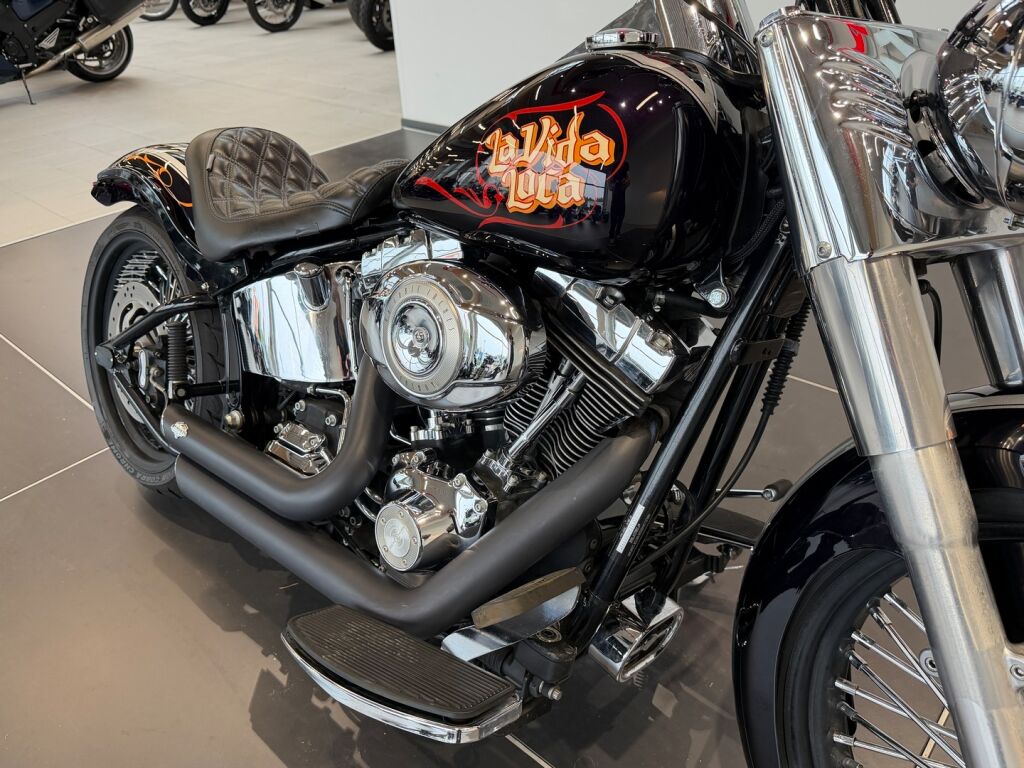 Harley-davidson SOFTAIL 2009 Musta